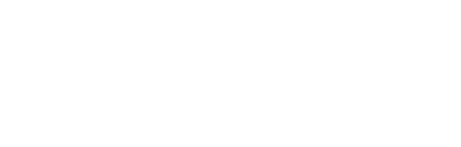Deya Habib